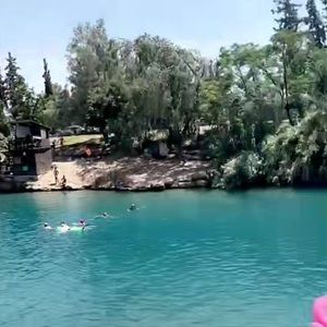 Meet your Posher, Alicia